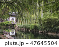 Guyi Garden, bamboo forest, Shanghai, China 47645504