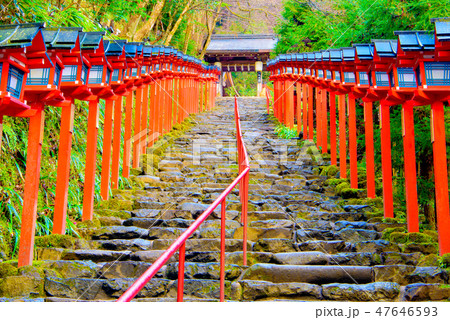 冬の貴船神社 47646593