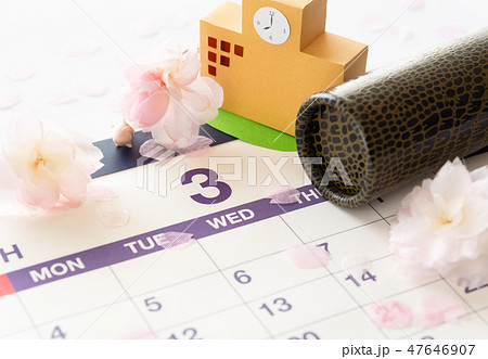 丸筒　卒業証書の筒　桜　卒業　校舎　卒業証書筒　カレンダー　3月　ワニ柄丸筒　丸筒ワニ革 47646907