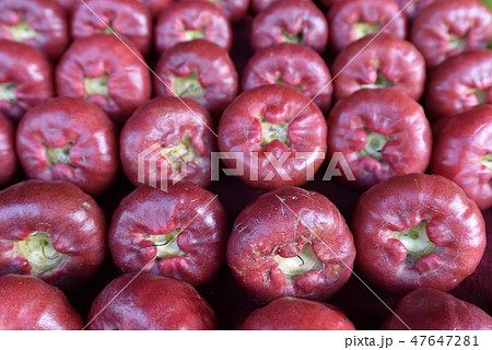 台湾の朝市にあった蓮霧 台湾の朝市にあった蓮霧 47647281