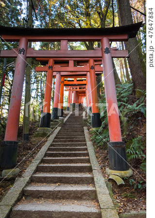 伏見稲荷大社の鳥居　京都 47647884