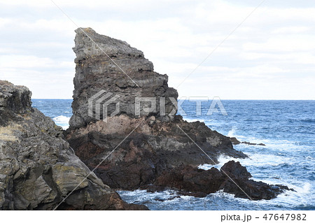 ゴリラの微笑み 47647982