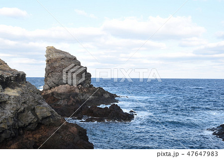 ゴリラの微笑み 47647983