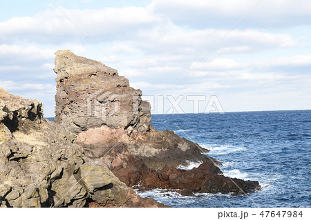 ゴリラの微笑み 47647984