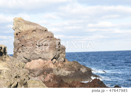 ゴリラの微笑み 47647985