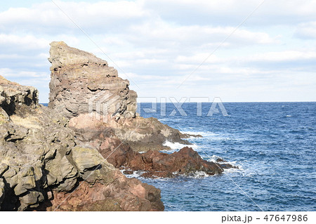 ゴリラの微笑み 47647986