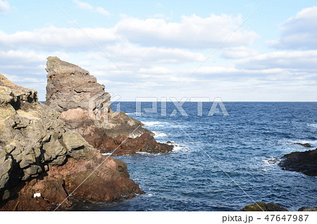 ゴリラの微笑み 47647987