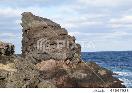 ゴリラの微笑み 47647988