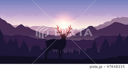 lonely deer in the mountains at sunrise with forest background lonely deer in the mountains at sunrise with forest background 47648335