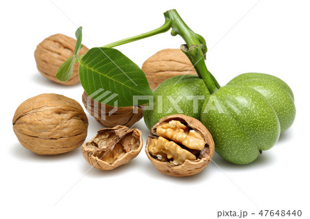 Walnuts and cracked walnut with leaves Walnuts and cracked walnut with leaves 47648440