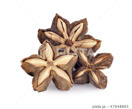 Sacha inchi peanut seed isolate on white  47648665