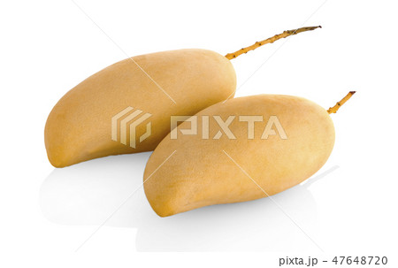 mango fruit isolated on white background 47648720