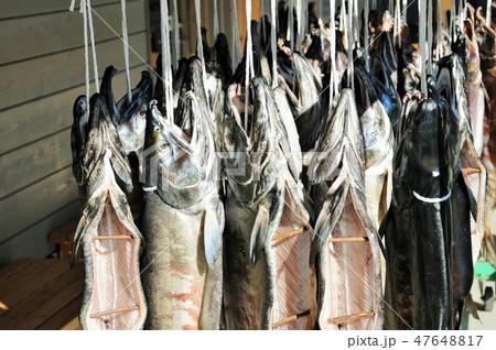 道の駅で見かけた新巻き鮭 道の駅で見かけた新巻き鮭 47648817