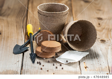 Garden tools, peat pots and seeds on wooden table 47648985