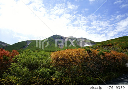 秋の乗鞍岳（撮影地：乗鞍、肩の小屋口→位ヶ原） 47649389