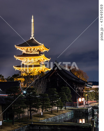 京都　東寺　五重塔 47649569