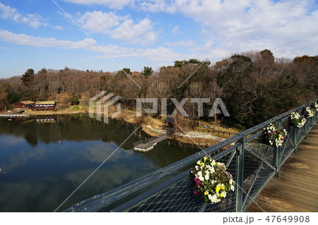 1月　ふなばしｱﾝﾃﾞﾙｾﾝ公園31太陽の池と橋 47649908