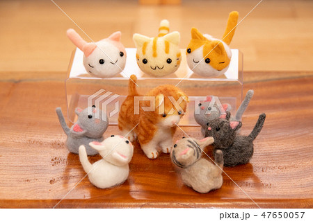 ふぁみりー 47650057