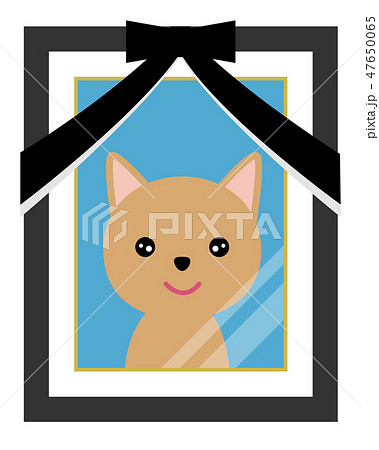 遺影写真 遺影写真 47650065