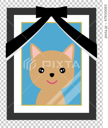 遺影写真 遺影写真 47650065