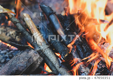 Bright closeup of fireplace with logs and branches 47650351