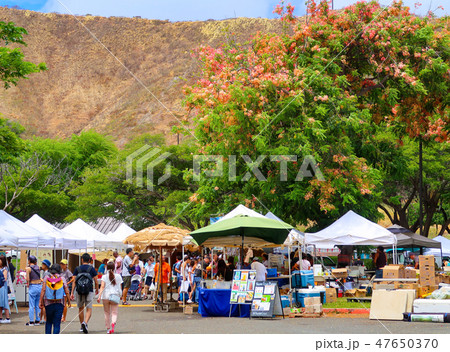 KCCファーマーズマーケット 47650370