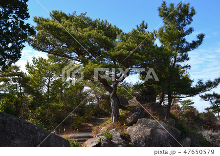 天草 千巌山の景観 天草 千巌山の景観 47650579