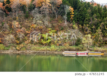 最上川舟下りの舟 47651245