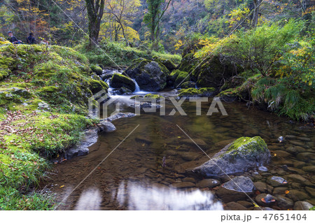 紅葉の渓流 荒俣峡 石川県小松市 紅葉の渓流 荒俣峡 石川県小松市 47651404