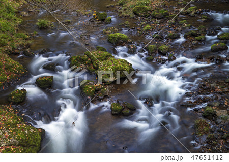 紅葉の渓流　荒俣峡　石川県小松市 47651412