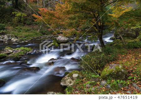 紅葉の渓流 荒俣峡 石川県小松市 紅葉の渓流 荒俣峡 石川県小松市 47651419