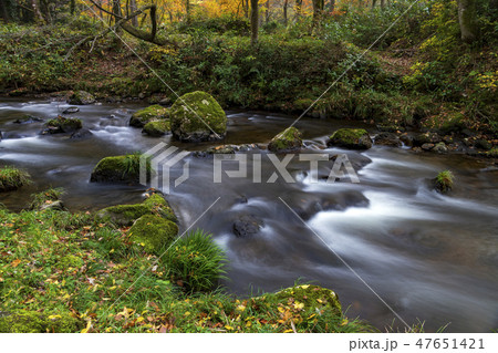 紅葉の渓流 荒俣峡 石川県小松市 紅葉の渓流 荒俣峡 石川県小松市 47651421