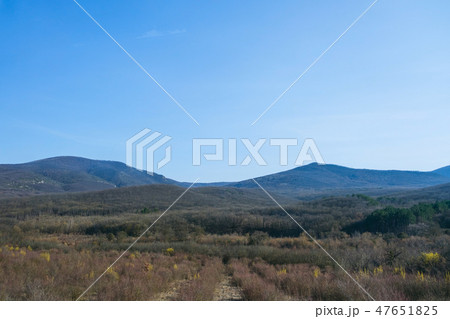 Landscape with vineyards. Mountains at background 47651825