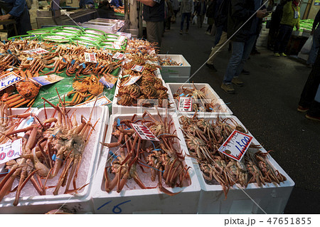 近江町市場 ズワイガニ解禁のにぎわい 近江町市場 ズワイガニ解禁のにぎわい 47651855