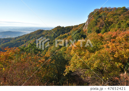 大小山　大小山山頂東側中腹から南方面を見る 47652421
