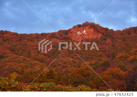 大小山登山口駐車場から見る朝日に焼ける大小山 47652425