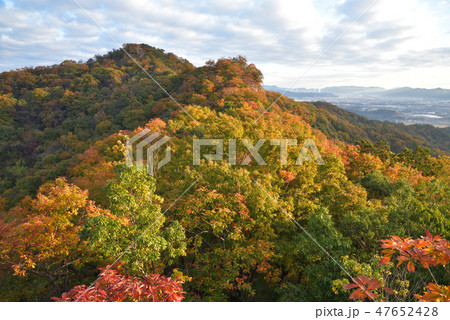 紅葉の大小山　大小山南側のピークから山頂方面を見る 47652428