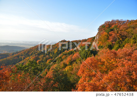 紅葉の大小山 大小山山頂東側中腹から南方面を見る 紅葉の大小山 大小山山頂東側中腹から南方面を見る 47652438