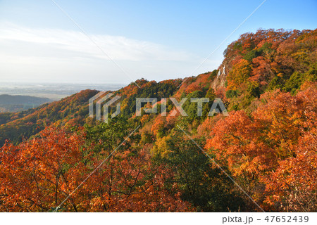 紅葉の大小山 大小山山頂東側中腹から南方面を見る 紅葉の大小山 大小山山頂東側中腹から南方面を見る 47652439