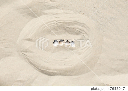 Template background of summer marine items on a sand Template background of summer marine items on a sand 47652947