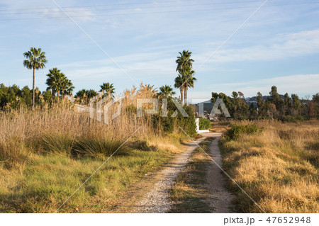 Nature, travel and adventure concept - Country road in South Spain 47652948