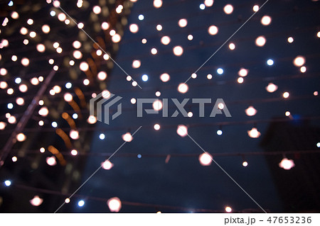 球根 電球 球 47653236