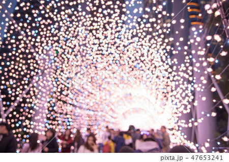 球根 電球 球 47653241