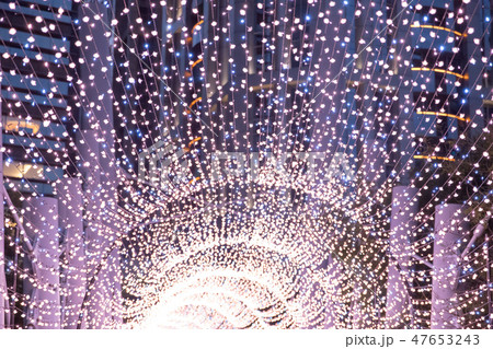 球根 電球 球 47653243