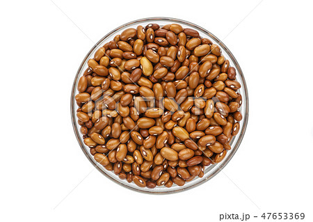 raw brown beans isolated raw brown beans isolated 47653369