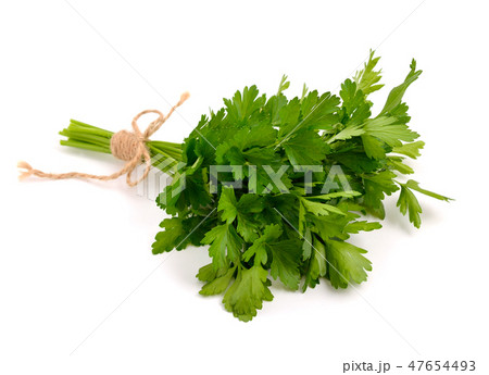 Bunch of Parsley. 47654493
