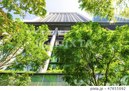 緑の多いオフィス街の風景 47655092
