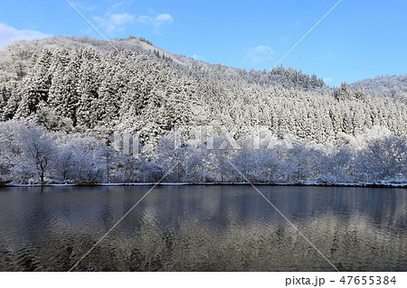 新雪の朝 新雪の湖岸 新雪の朝 新雪の湖岸 47655384