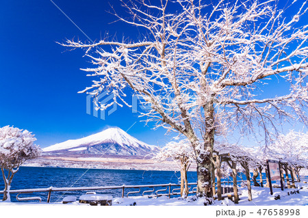 (山梨県)雪化粧した山中湖畔から望む富士山 (山梨県)雪化粧した山中湖畔から望む富士山 47658998