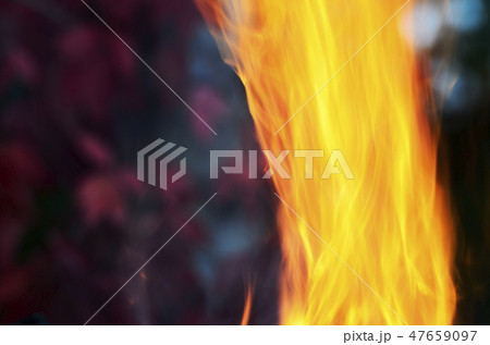 burning flame on a background of autumn leaves 47659097